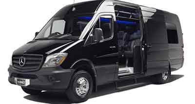  Sprinter Luxury Coach